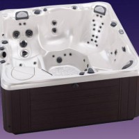 Спа бассейн Caldera Spas Tahitian (рис.2)