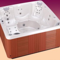 Джакузи бассейн с одной чашей Caldera Spas Palatino (рис.1)