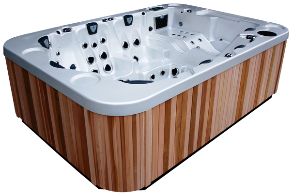 спа-бассейн Coast Spas Mirage (рис.1)