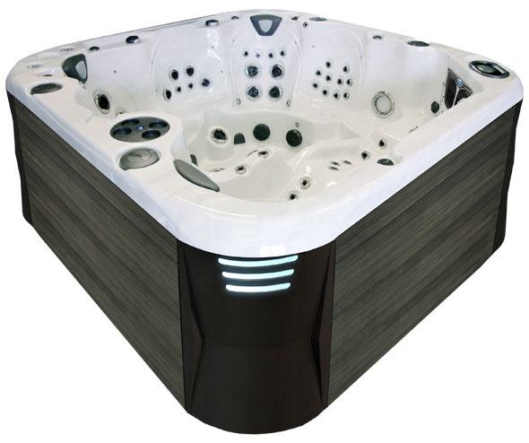 СПА бассейн Coast Spas Apex Elite (рис.1)